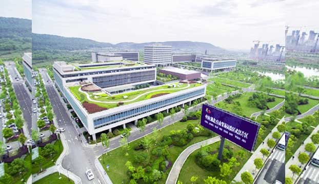 Global firms eye growing opportunities under China’s wider opening up