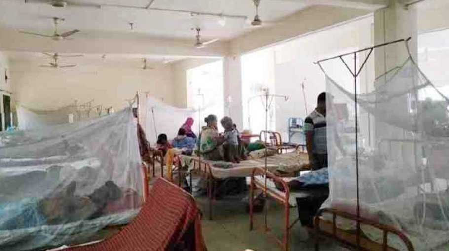 317 dengue patients hospitalised, 1 more die in 24 hrs