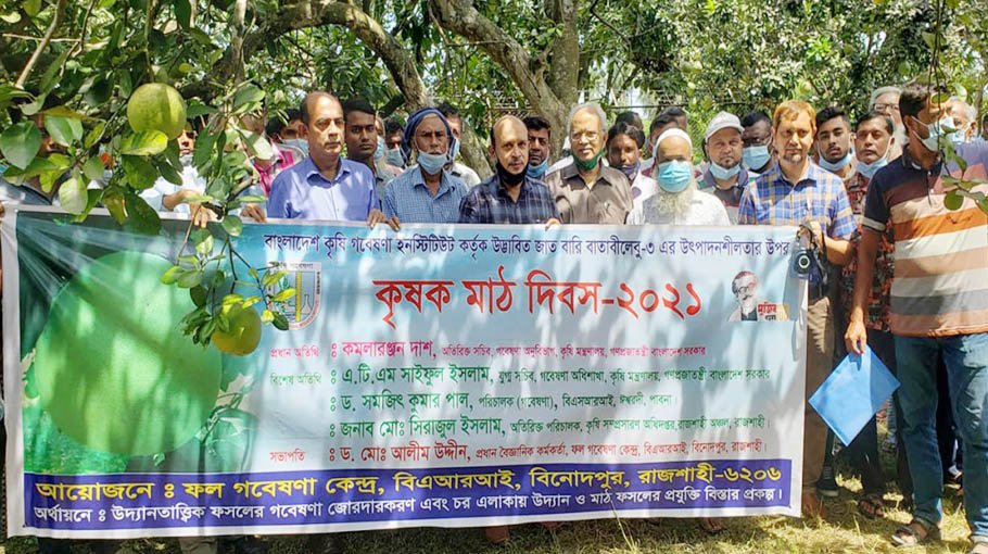 Farmers urged to cultivate Batabi Lebu-3 variety