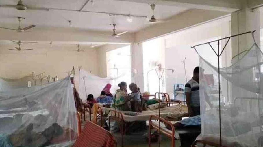 301 more dengue patients hospitalised in 24 hrs