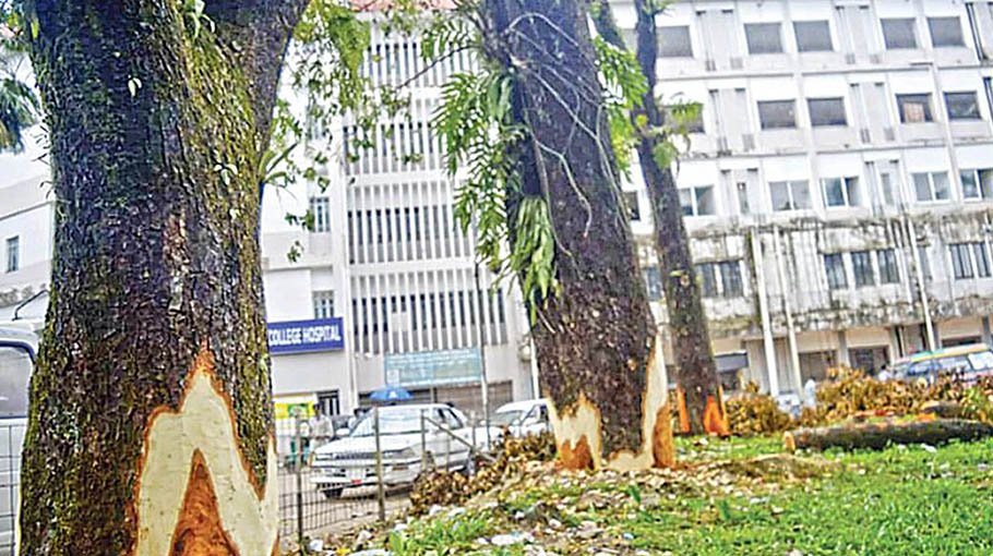 Construction of  medical college building halted for extortion