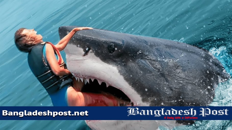 World S Top 10 Worst Shark Attacks In History Bangladesh Post   6155813c20290 