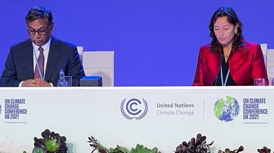 ‘Adopted strategies will expand, diversify renewable energy use’