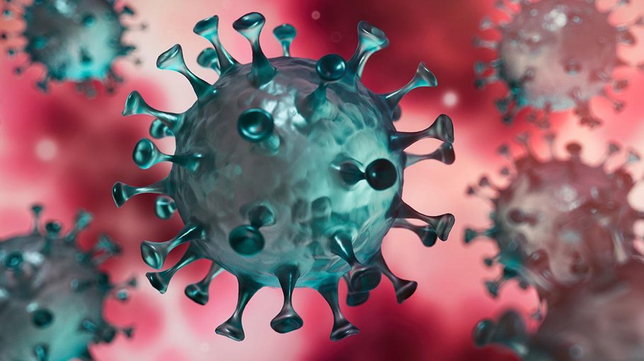 4 Covid deaths  in 24 hours