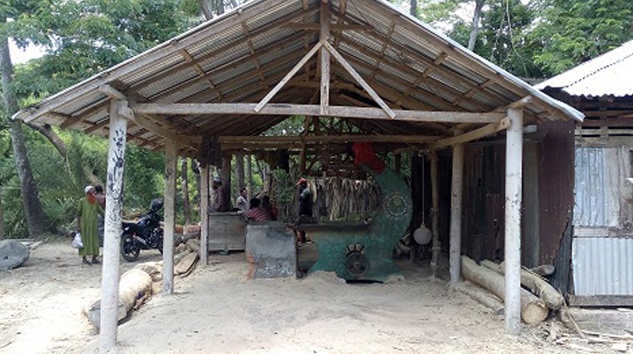 Illegal sawmill mushrooms in Kishoreganj