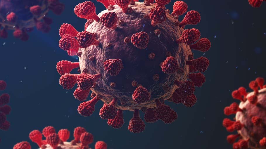 Covid claims 5 lives in 24 hrs