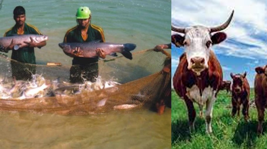 US keen to support fisheries, livestock sectors