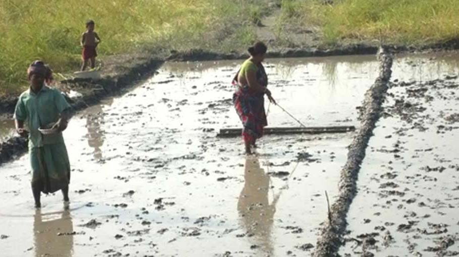 Farmers busy making seed beds 
