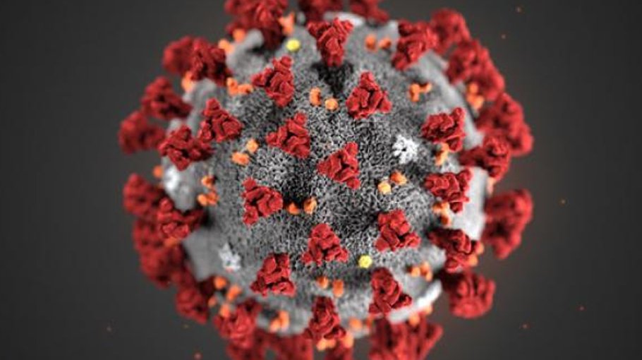 1 Covid death  in 24 hrs