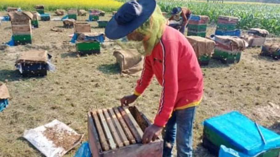 Sweet smile in the mustard field in Jamalpur