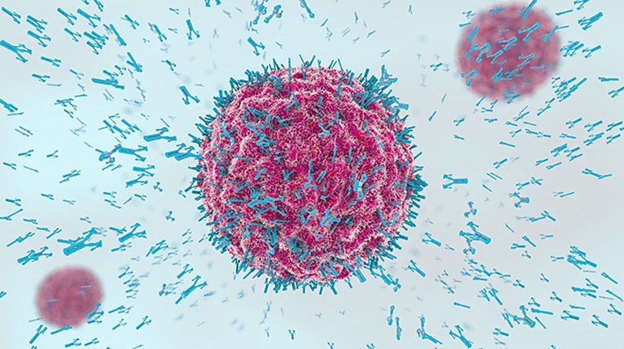 2 Covid deaths in 24 hours