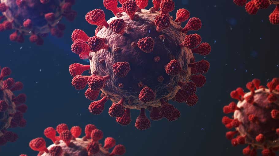 One Covid death in 24 hours