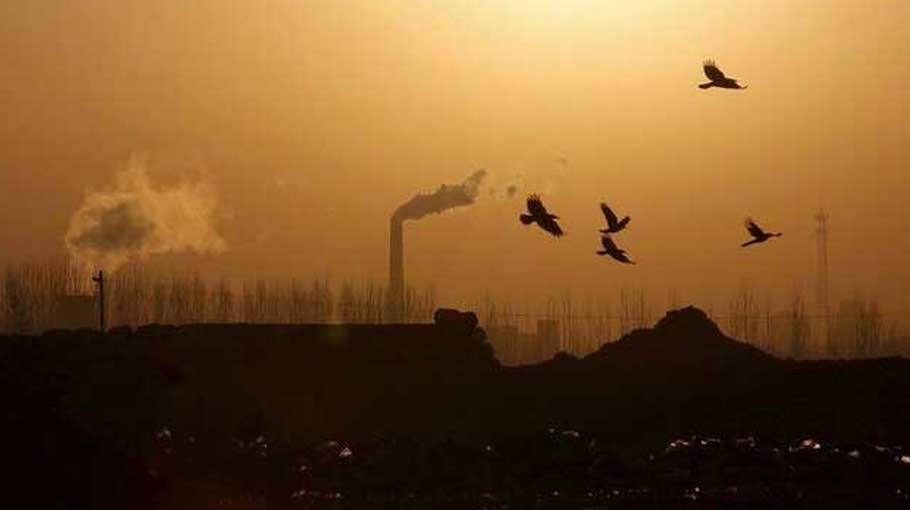 EU scientists call for action as greenhouse gas levels  hit high in 2021