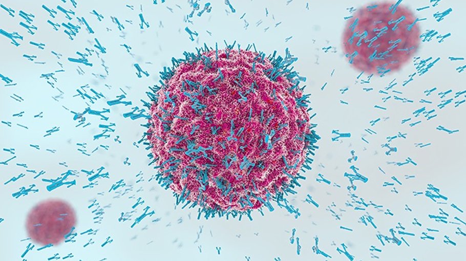 12 Covid deaths  in 24 hrs