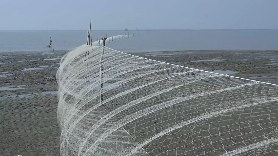 Illegal nets ruin biodiversity in Tarua beach area
