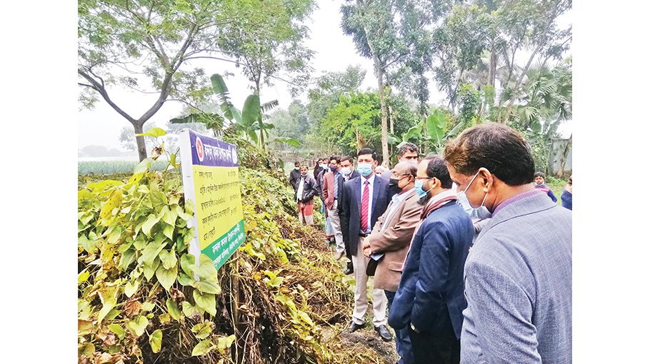 DAE initiatives to bring back traditional tuber crops