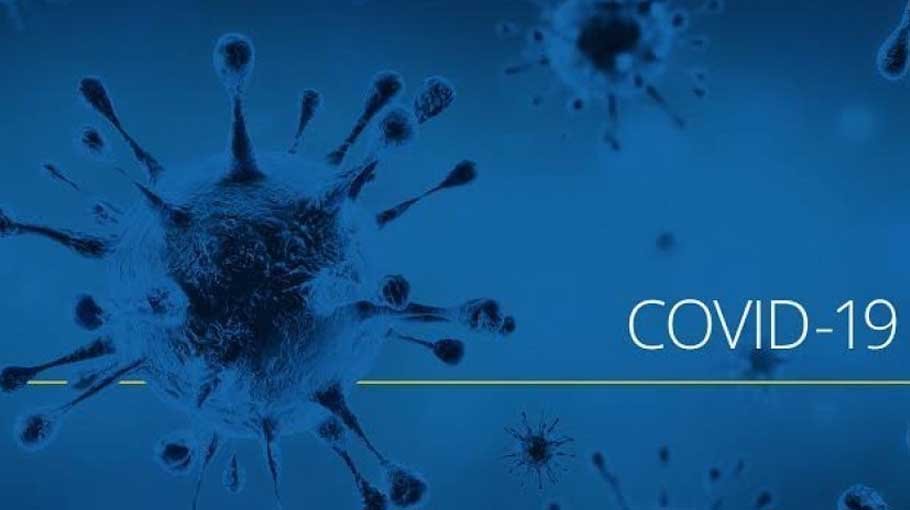 Covid claims 21 lives in 24hrs