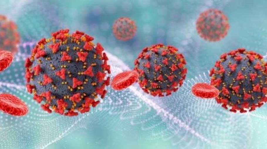 31 more die of Covid, 13,154 infected in 24hrs