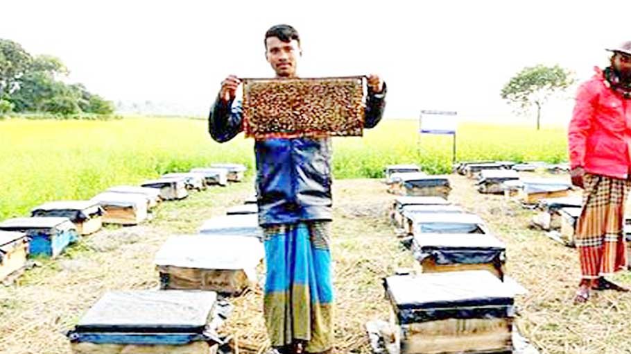 Farmers busy gathering honey
