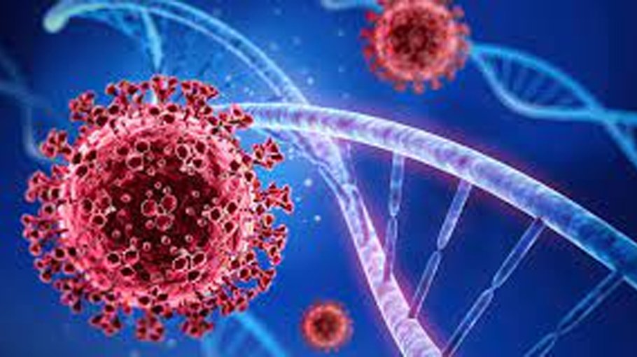 Rangpur records 24.51pc Covid-19 positivity rate