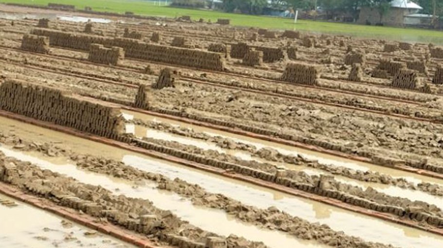 Late winter rain damages crops, vegs and bricks