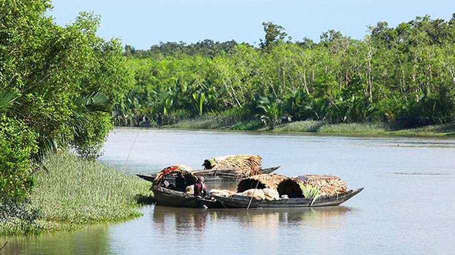 Separate ministry demanded for Sundarbans