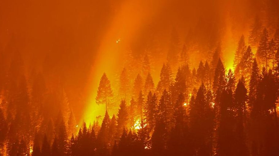 Extreme wildfires expected to increase 30pc by 2050