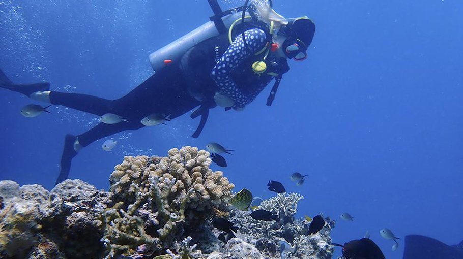 ‘Crisis’: Climate panel flags Great Barrier Reef devastation