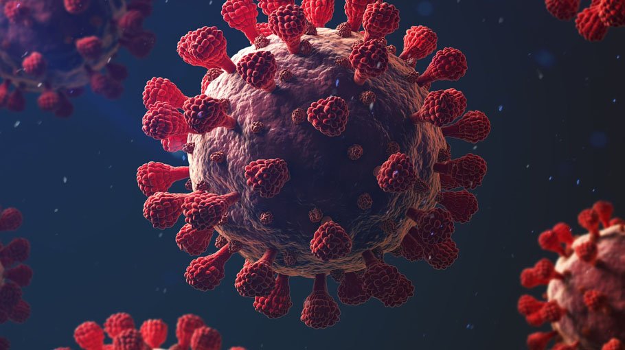 Daily Covid infection rate halved in a week
