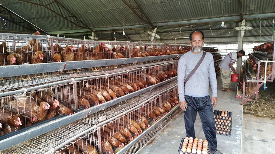 Poultry sector booms in Chatmohar