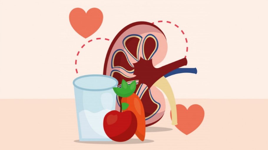 Introduce Kidney  Protection Insurance