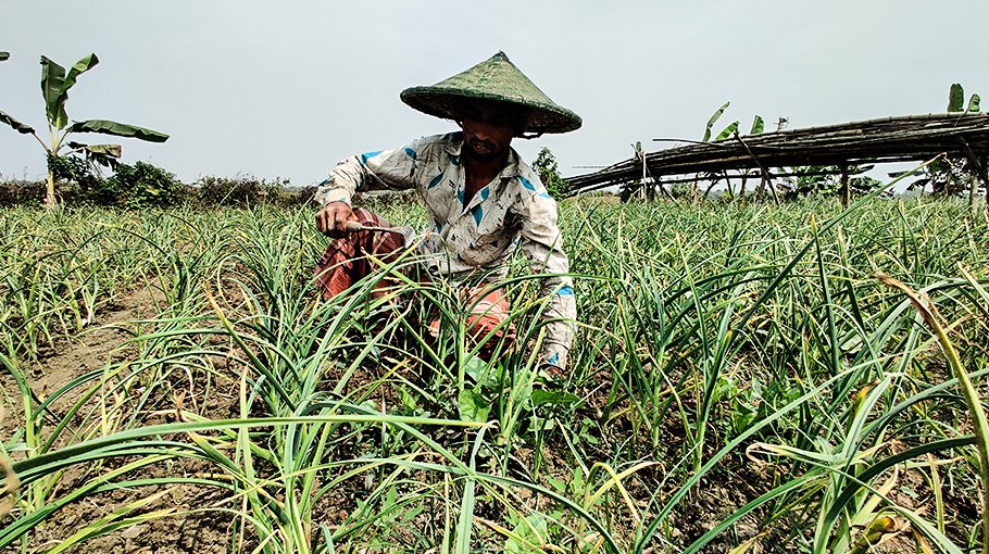 Priority given on  green, digitised  agriculture 