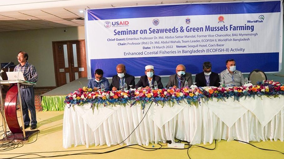 Seaweeds can contribute to Bangladesh economy greatly