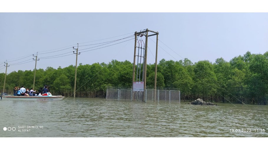 Electricity fulfils dream of island people   