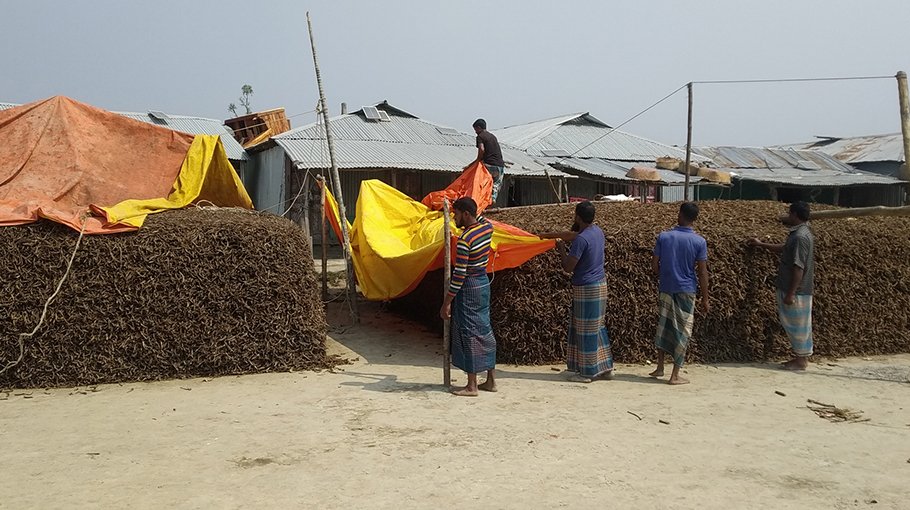 Dried fish sector in Hatiya needs govt support