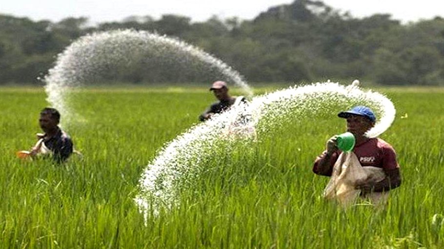 Experts for increasing production, innovation in agriculture sector for further growth