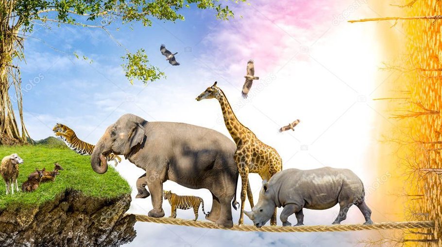 Nomination   for wildlife   conservation award