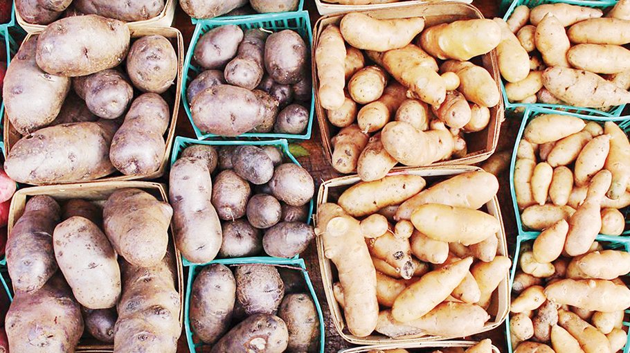 Rangpur produces record 25 lakh tonnes of potato