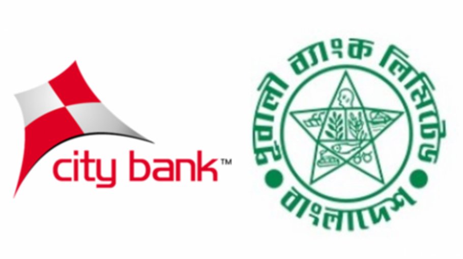 Pubali Bank offers 12.5% dividend