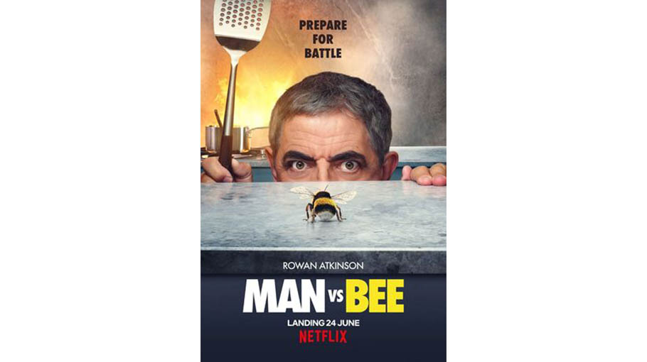 MAN vs BEE!