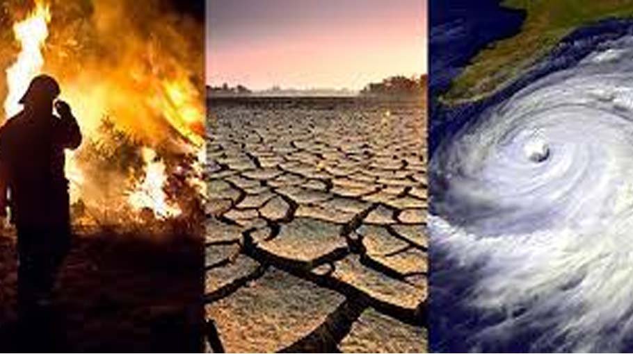 Is it a consequence of climate change?