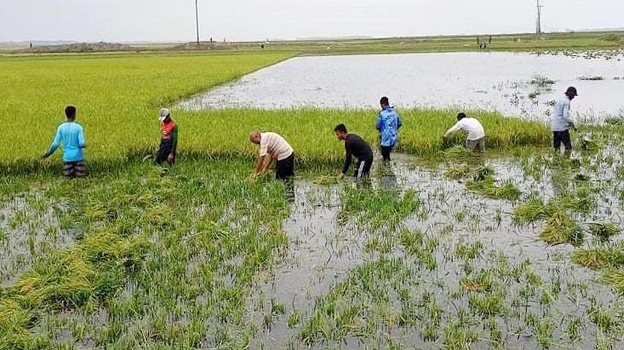 53 dykes in Kishoreganj now under threat