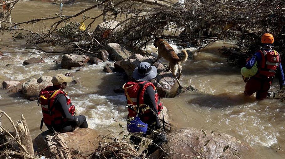 African wildlife, coasts suffer  effects of flooding, drought