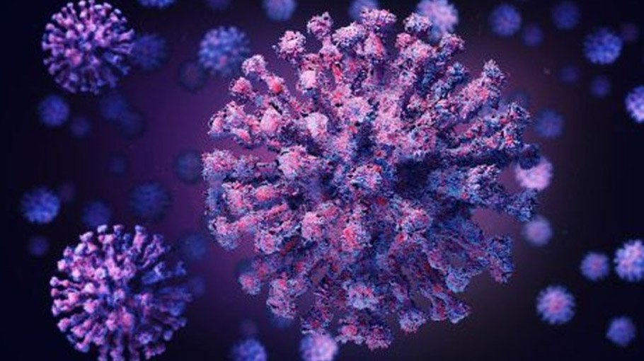 No Covid death, 26 new cases in 24 hrs