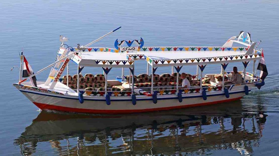 Tour boat in Mexico hits whale or whale shark, 6 injured