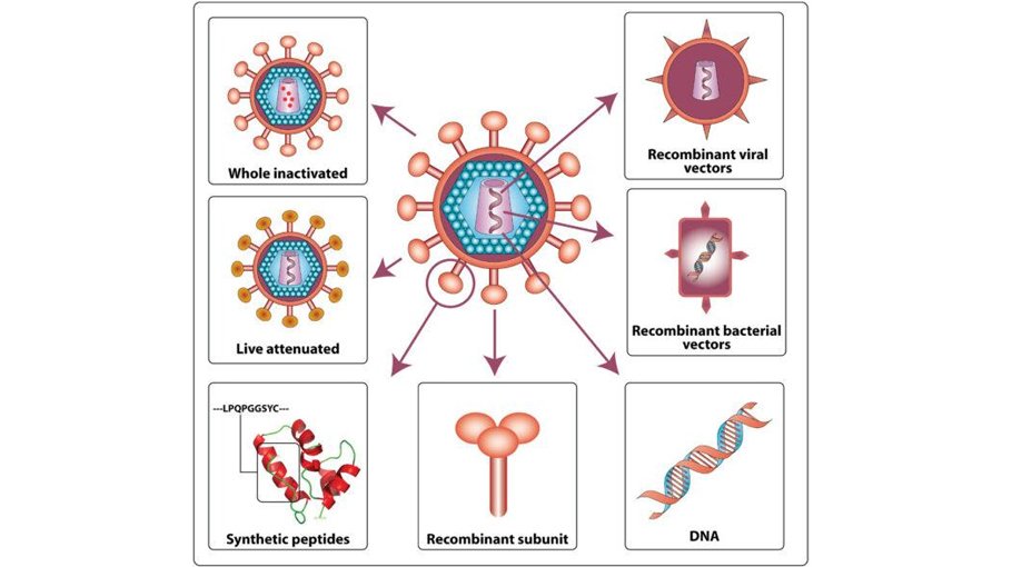 Battling the other virus: Moderna’s HIV vaccine