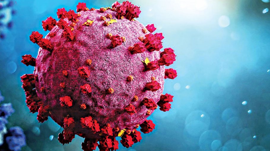 No Covid death for fifth consecutive day