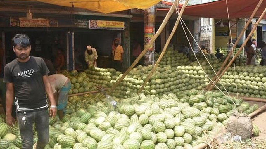 Bumper yield brings smiles to Khulna watermelon growers’ lips