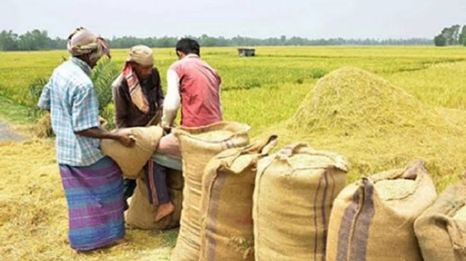 ‘90pc of haor paddy harvested’