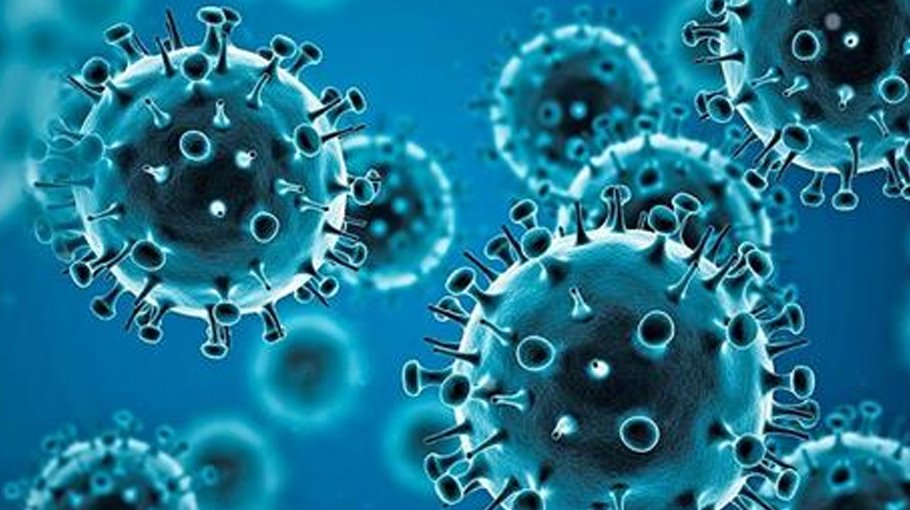 Daily Covid infections drop drastically